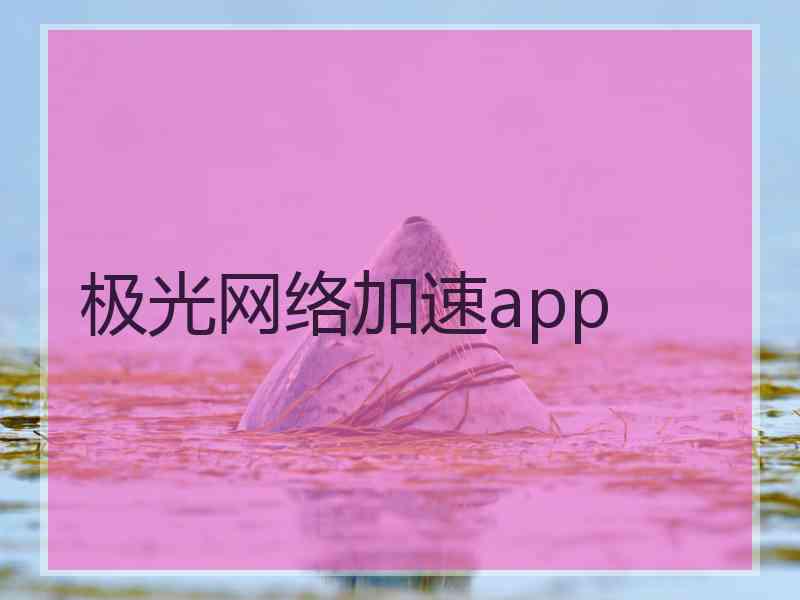 极光网络加速app