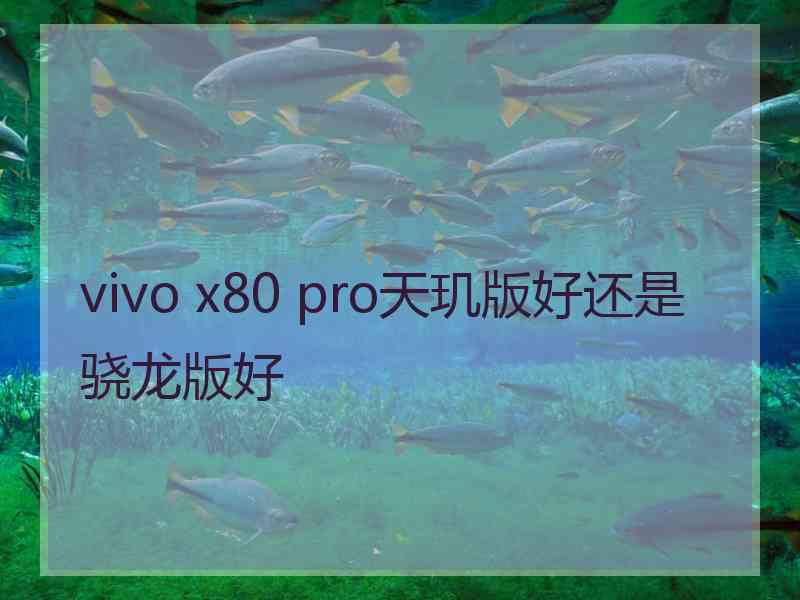 vivo x80 pro天玑版好还是骁龙版好