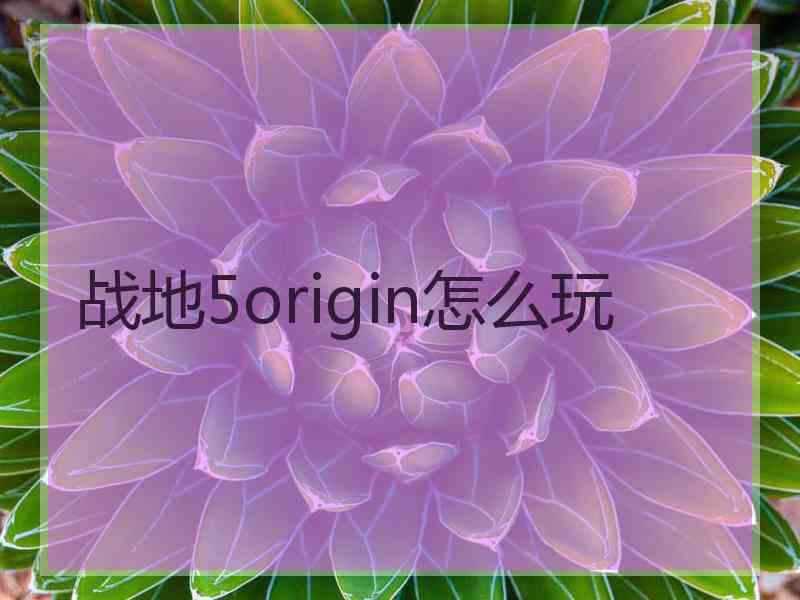 战地5origin怎么玩