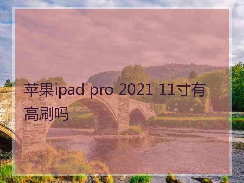 苹果ipad pro 2021 11寸有高刷吗