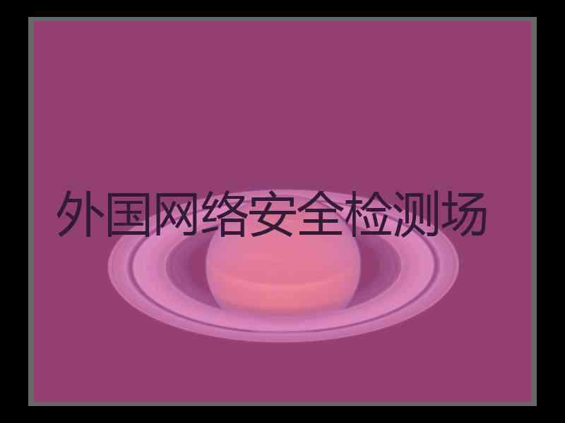 外国网络安全检测场