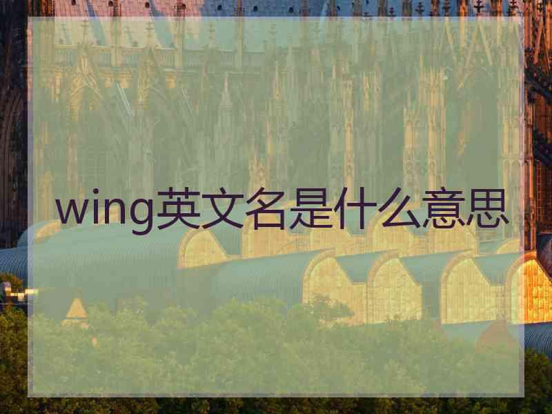 wing英文名是什么意思