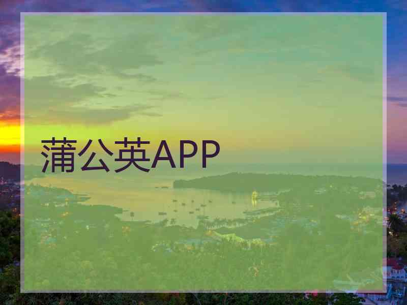 蒲公英APP