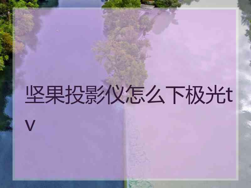 坚果投影仪怎么下极光tv