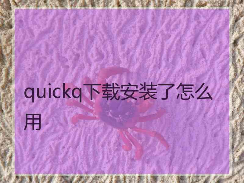 quickq下载安装了怎么用