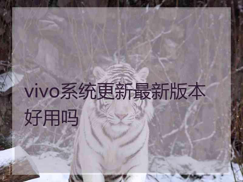 vivo系统更新最新版本好用吗