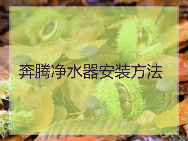 奔腾净水器安装方法