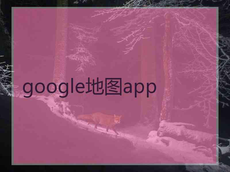 google地图app