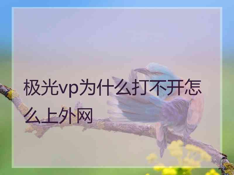 极光vp为什么打不开怎么上外网