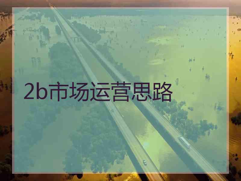 2b市场运营思路