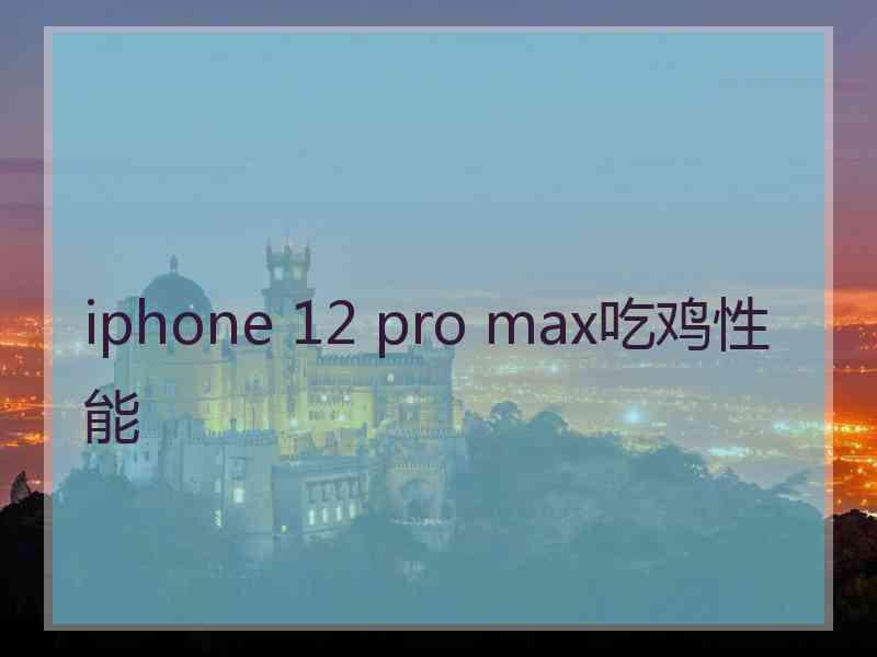 iphone 12 pro max吃鸡性能