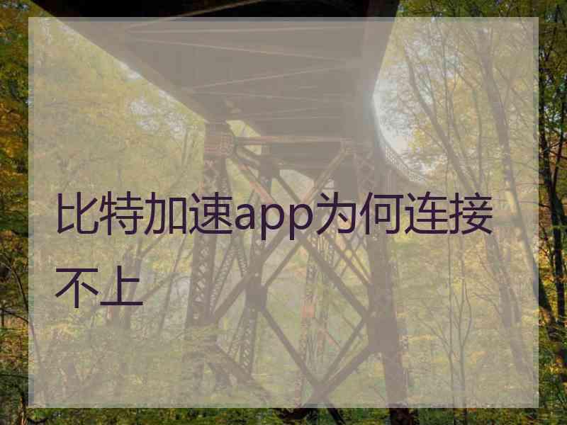 比特加速app为何连接不上