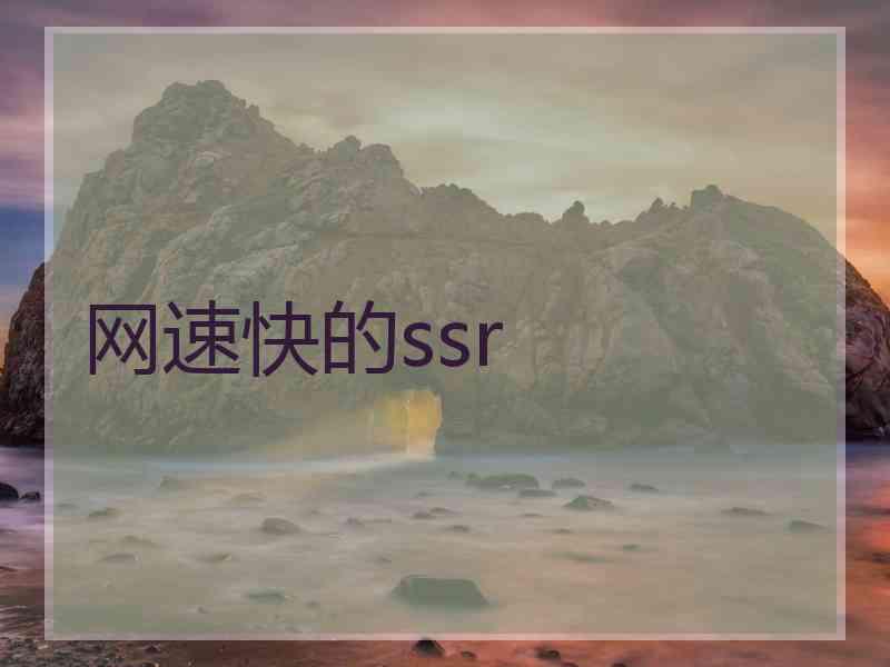 网速快的ssr