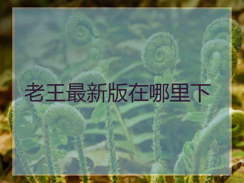 老王最新版在哪里下