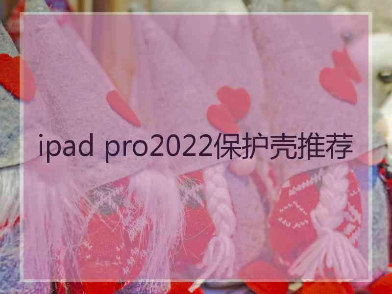 ipad pro2022保护壳推荐