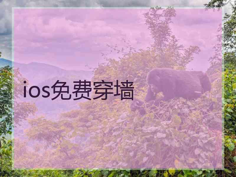 ios免费穿墙