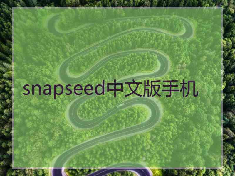 snapseed中文版手机