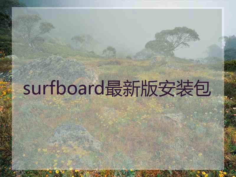 surfboard最新版安装包