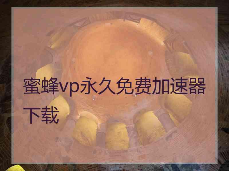 蜜蜂vp永久免费加速器下载