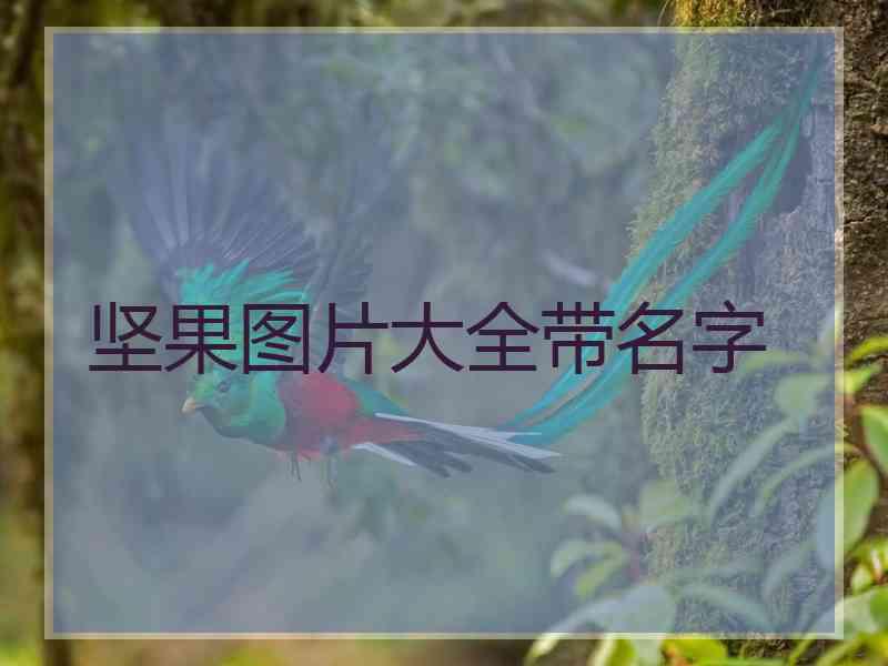 坚果图片大全带名字