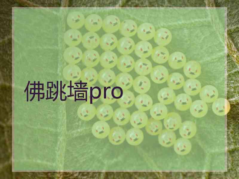 佛跳墙pro