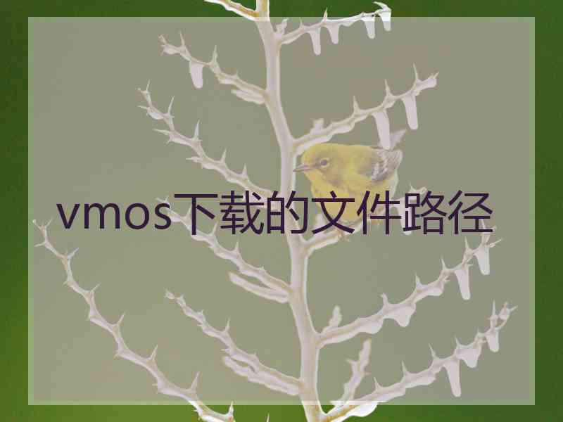 vmos下载的文件路径