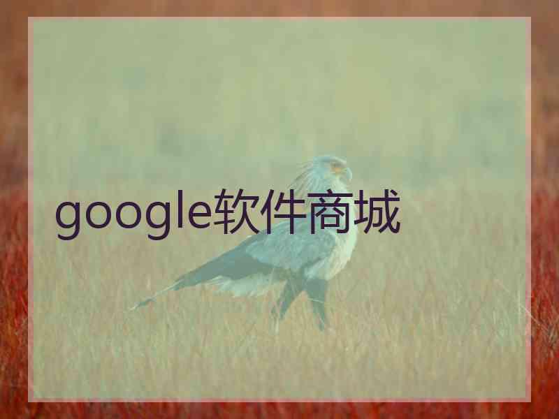 google软件商城