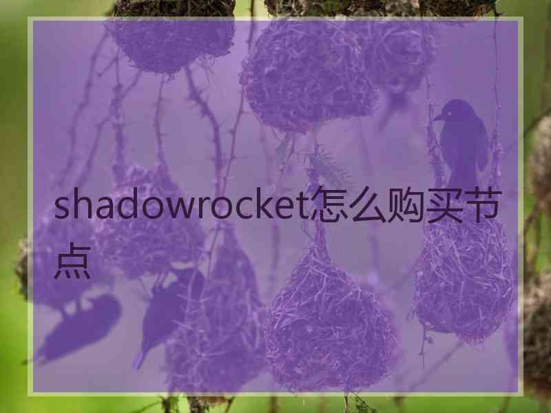 shadowrocket怎么购买节点