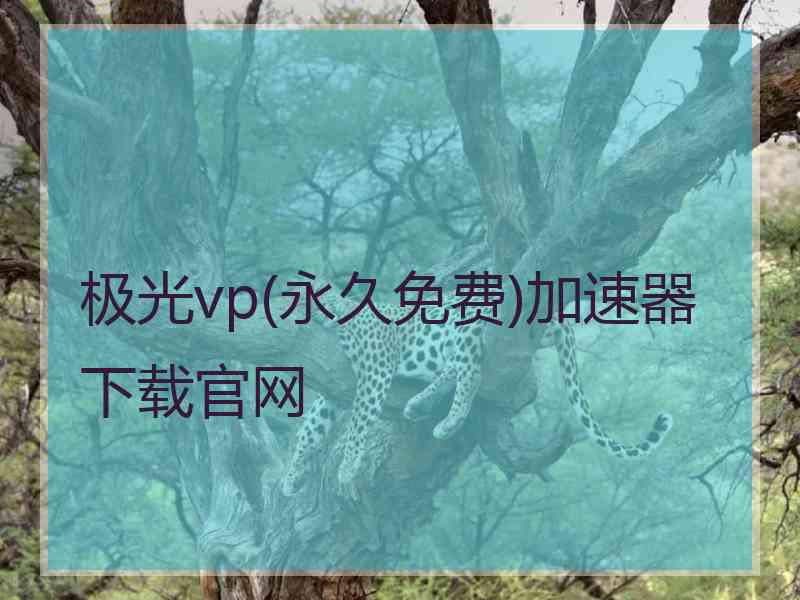 极光vp(永久免费)加速器下载官网