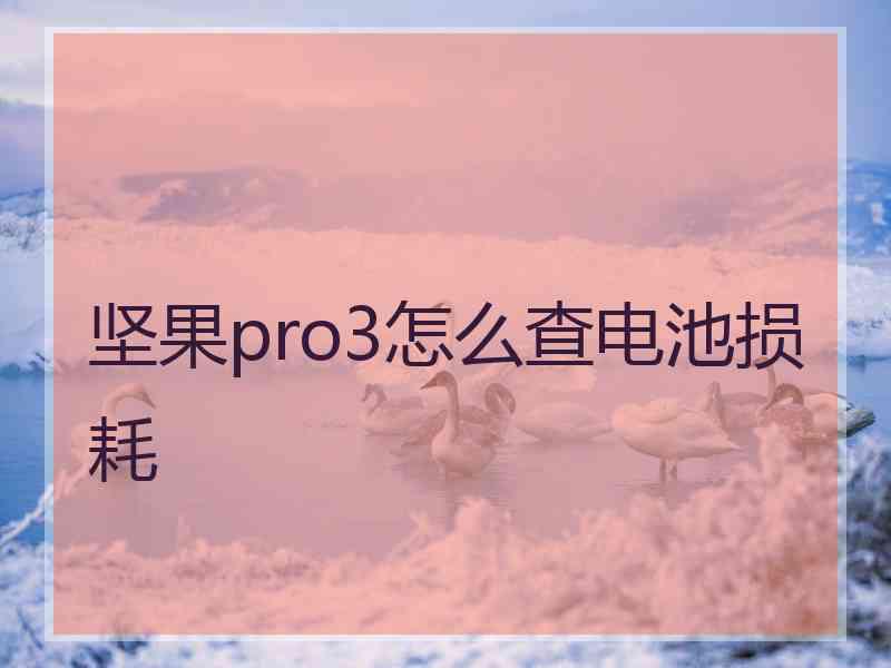 坚果pro3怎么查电池损耗