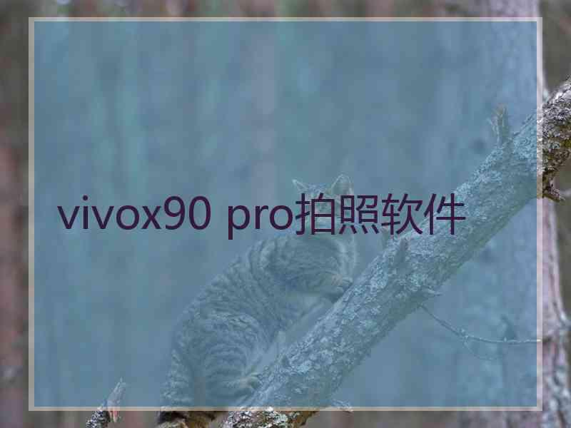 vivox90 pro拍照软件