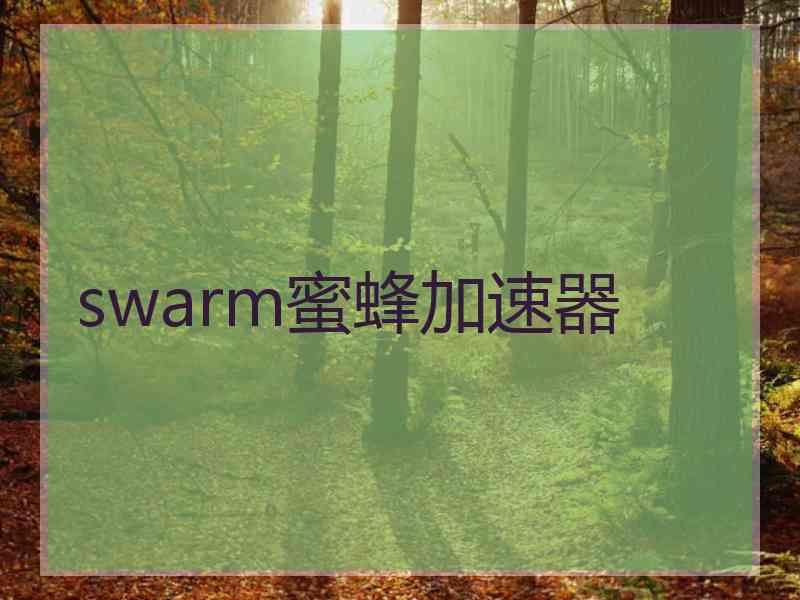 swarm蜜蜂加速器