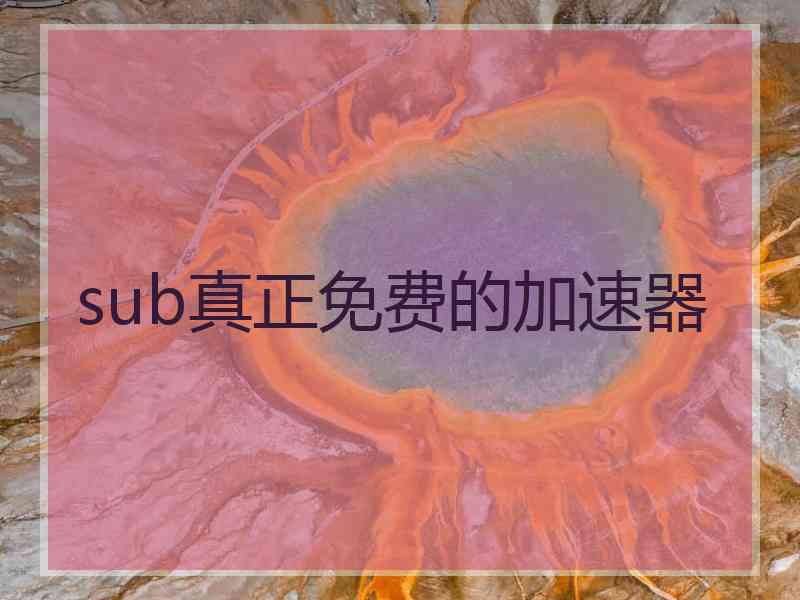 sub真正免费的加速器