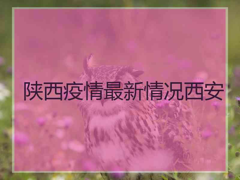 陕西疫情最新情况西安