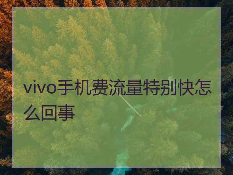 vivo手机费流量特别快怎么回事