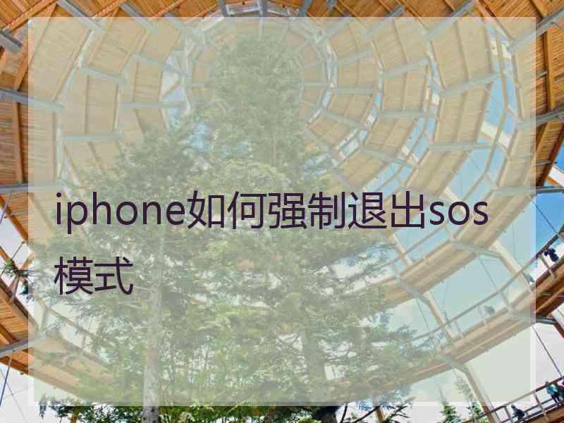 iphone如何强制退出sos模式