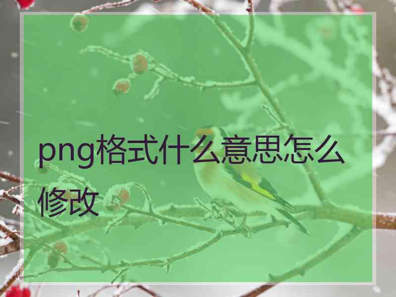 png格式什么意思怎么修改