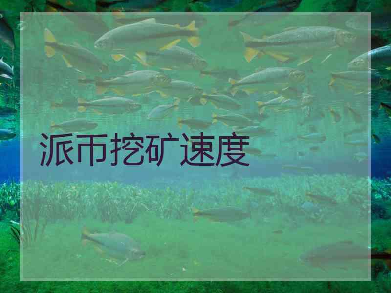 派币挖矿速度