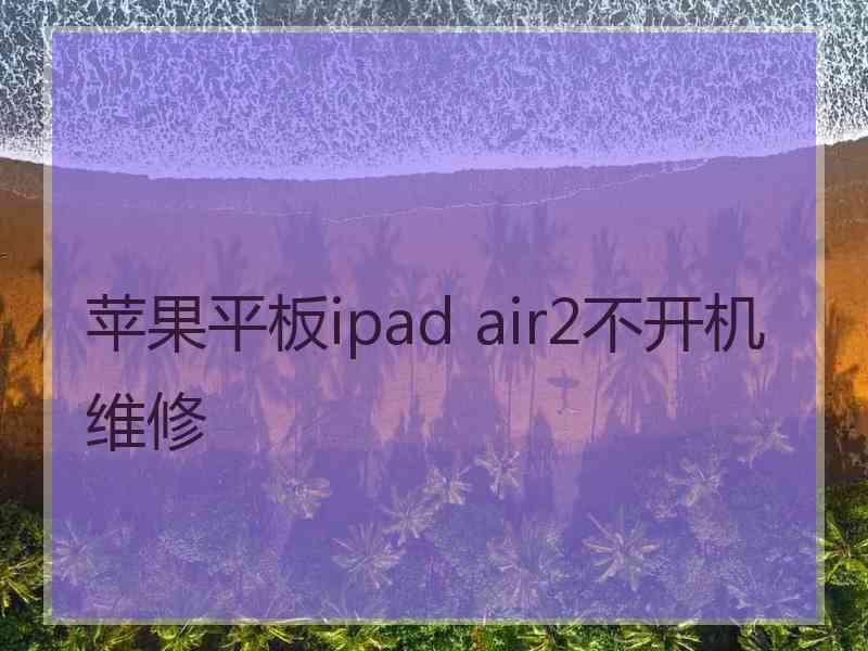 苹果平板ipad air2不开机维修