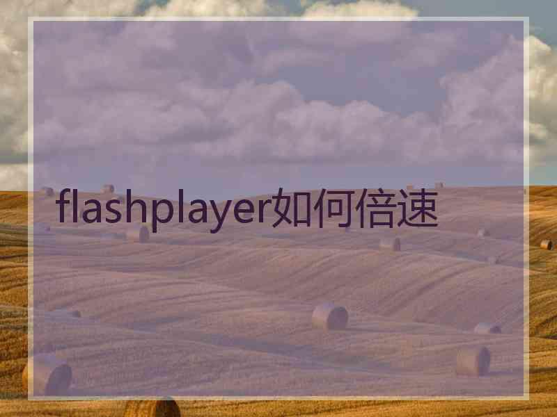 flashplayer如何倍速