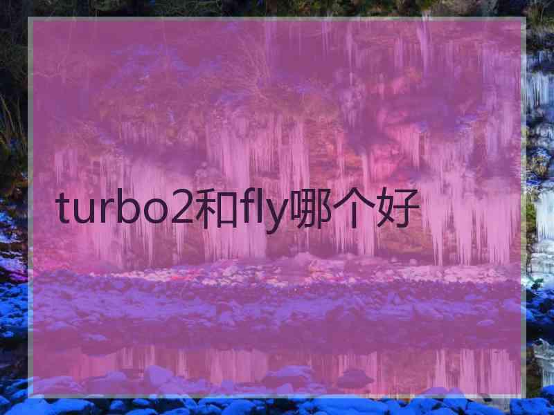 turbo2和fly哪个好