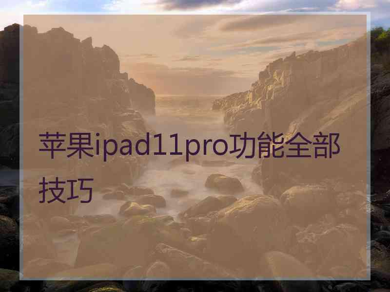 苹果ipad11pro功能全部技巧