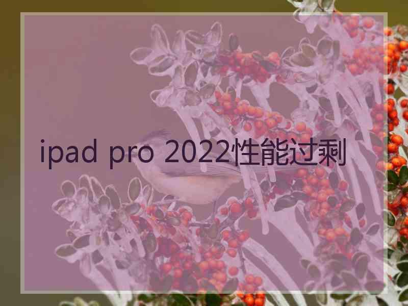 ipad pro 2022性能过剩