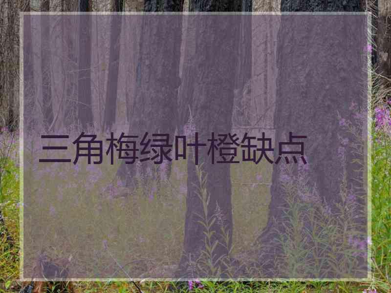 三角梅绿叶橙缺点