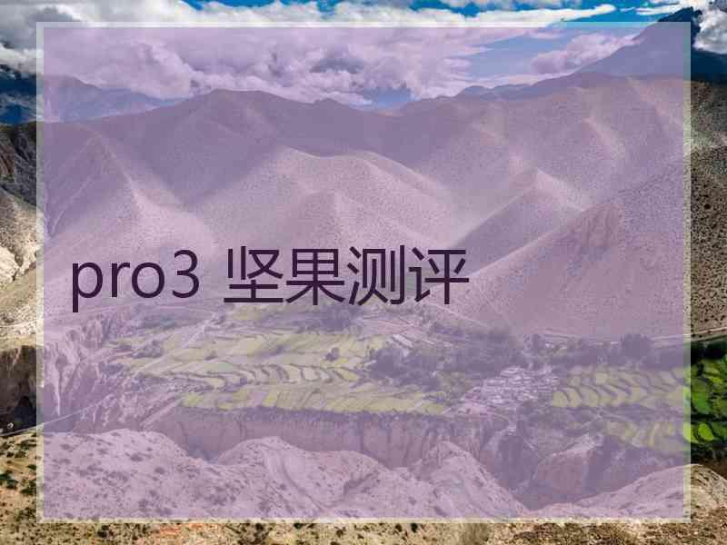 pro3 坚果测评