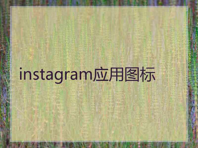 instagram应用图标