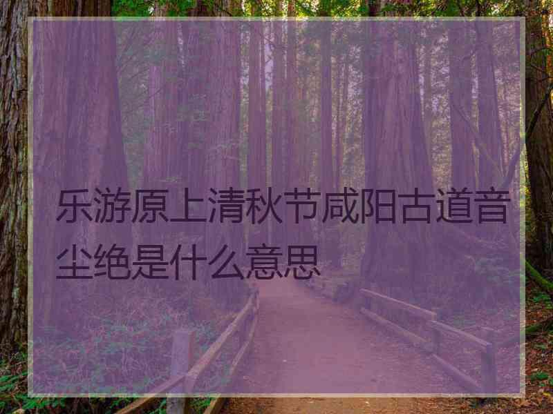 乐游原上清秋节咸阳古道音尘绝是什么意思