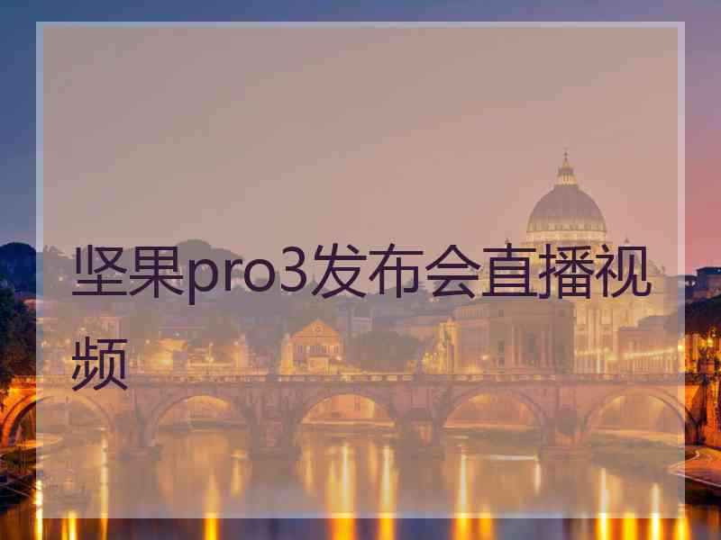 坚果pro3发布会直播视频