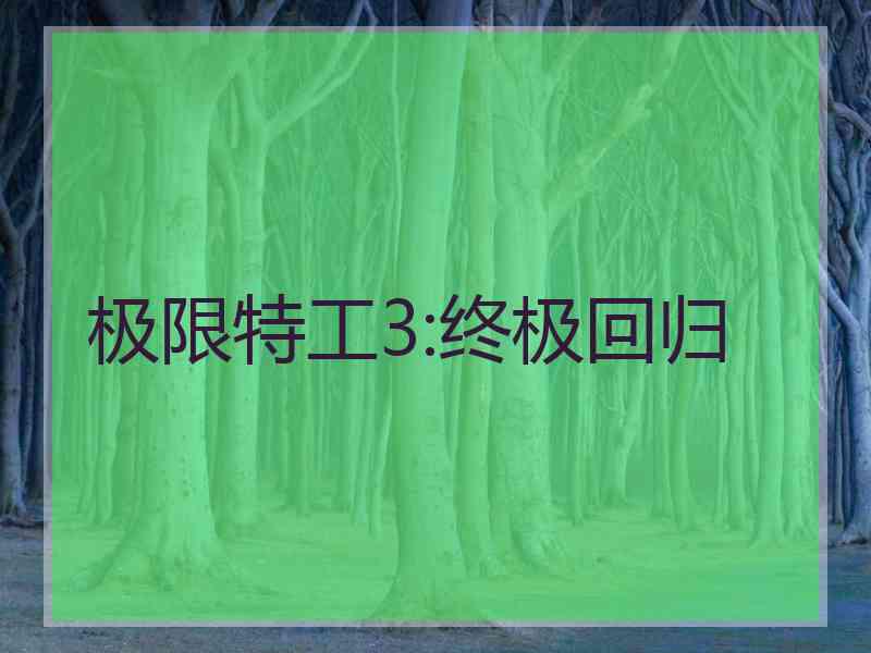 极限特工3:终极回归