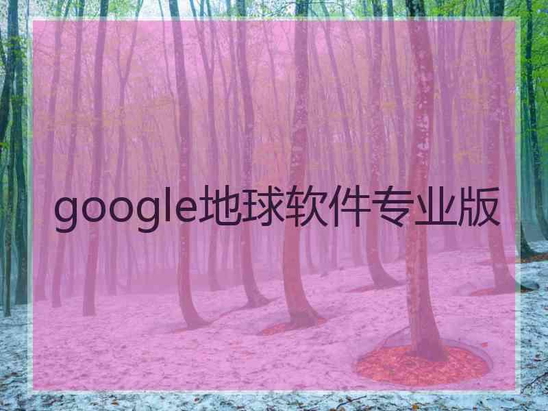 google地球软件专业版